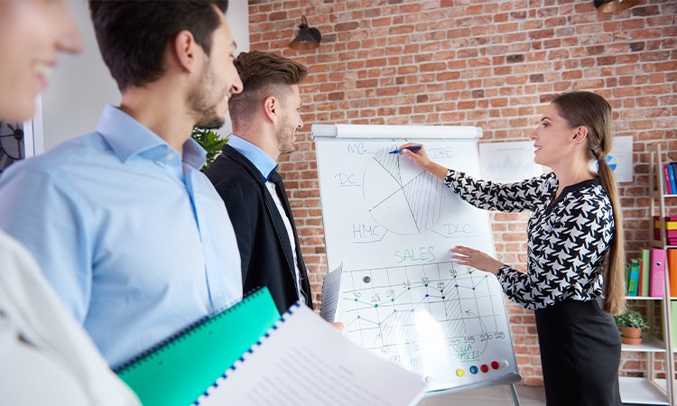 Project Guidance Programs size