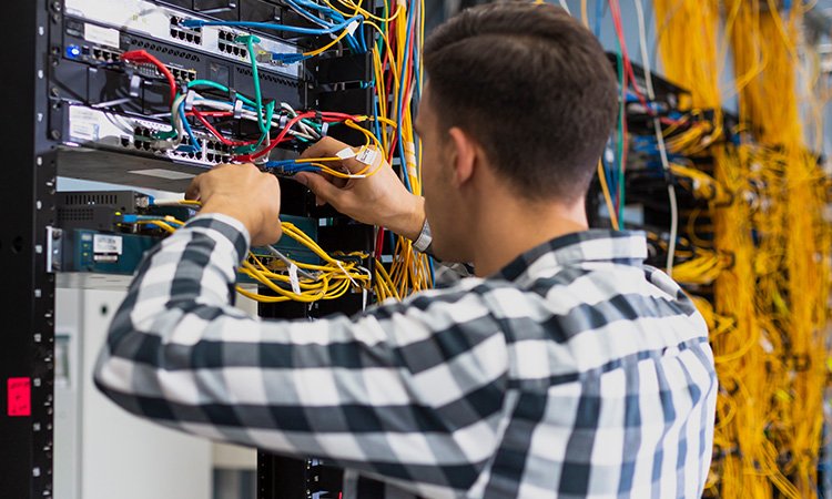 System Networking & Services size